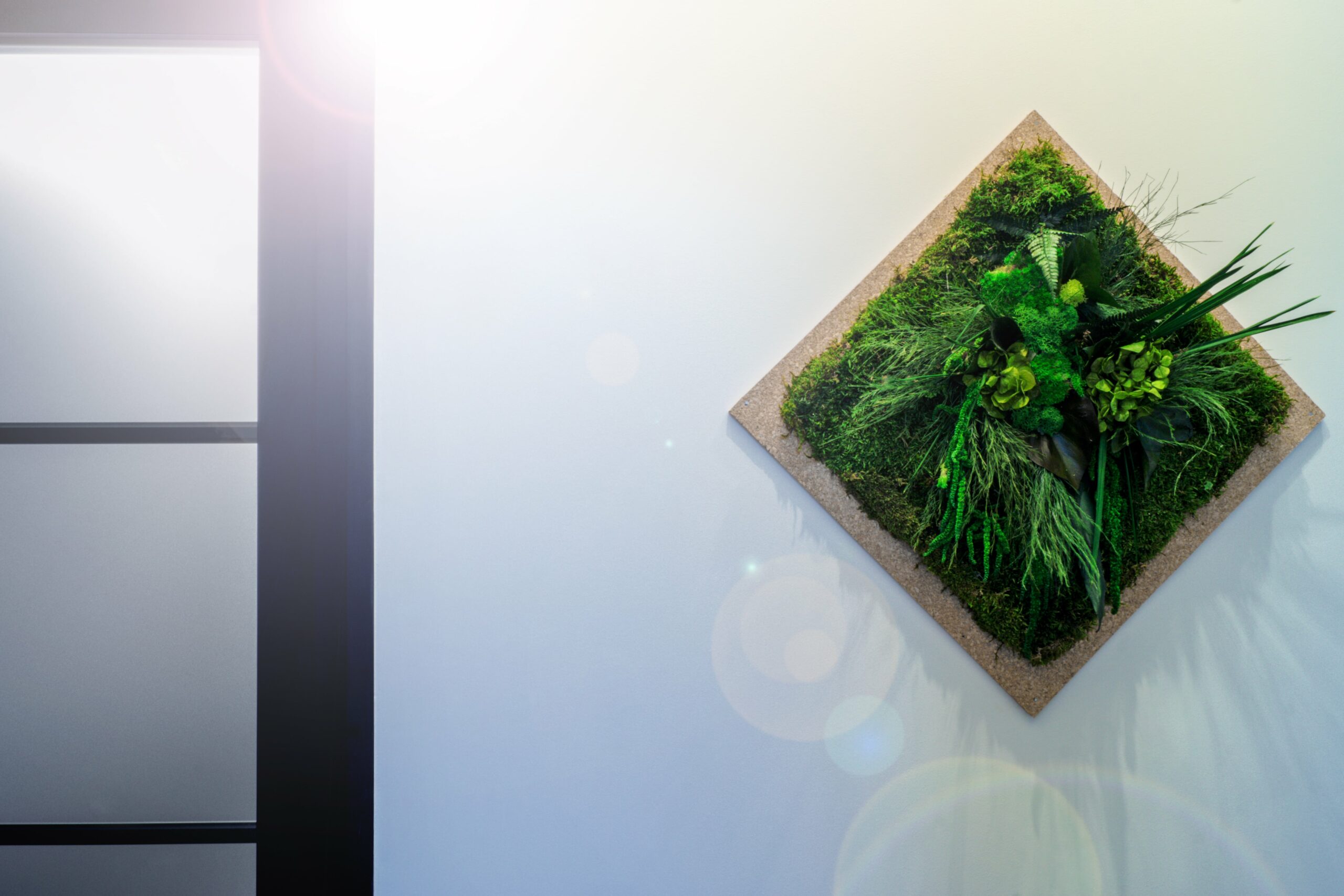 ozeo-decor-hall-accueil7