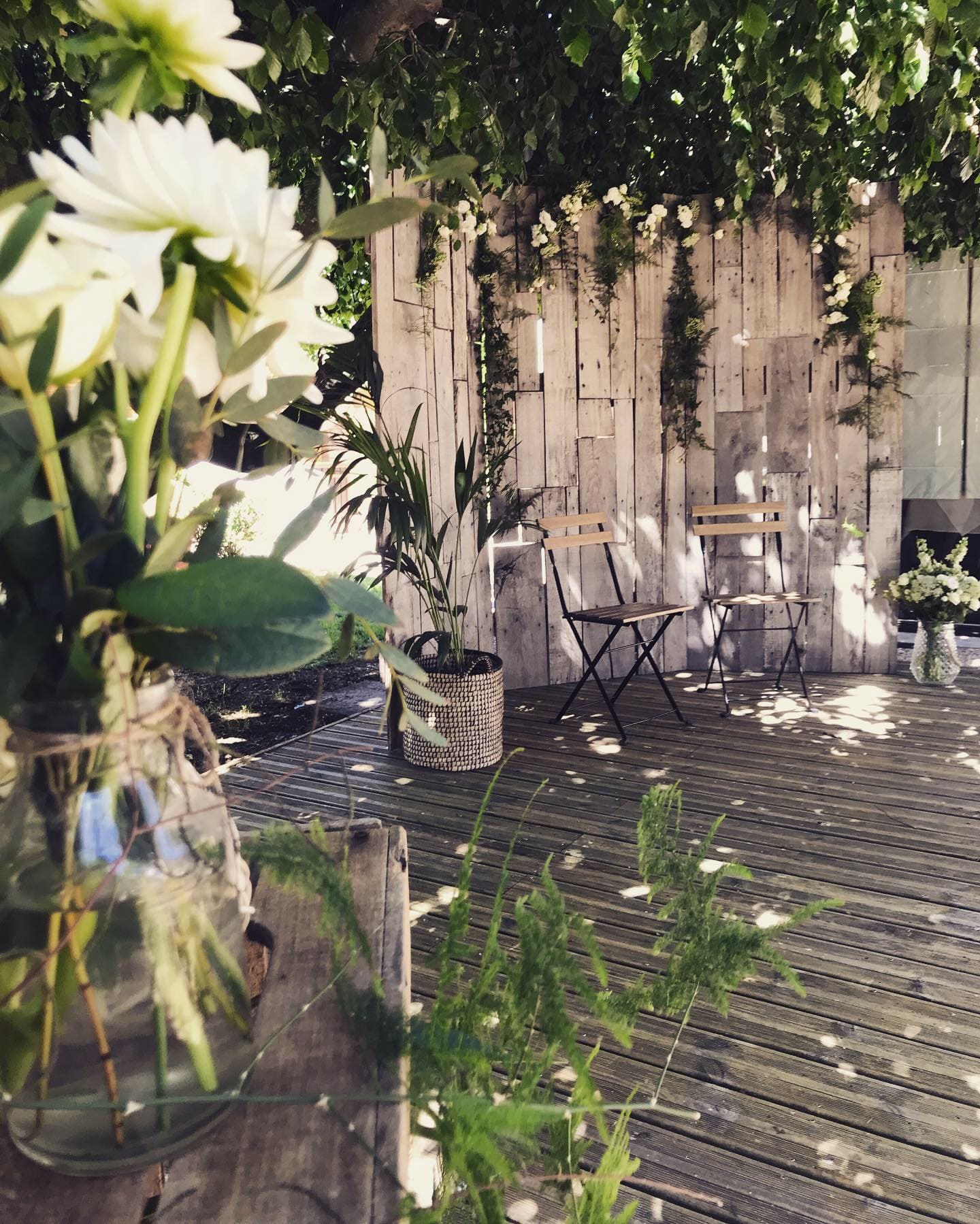 ozeo-decor-naturevegetal-10
