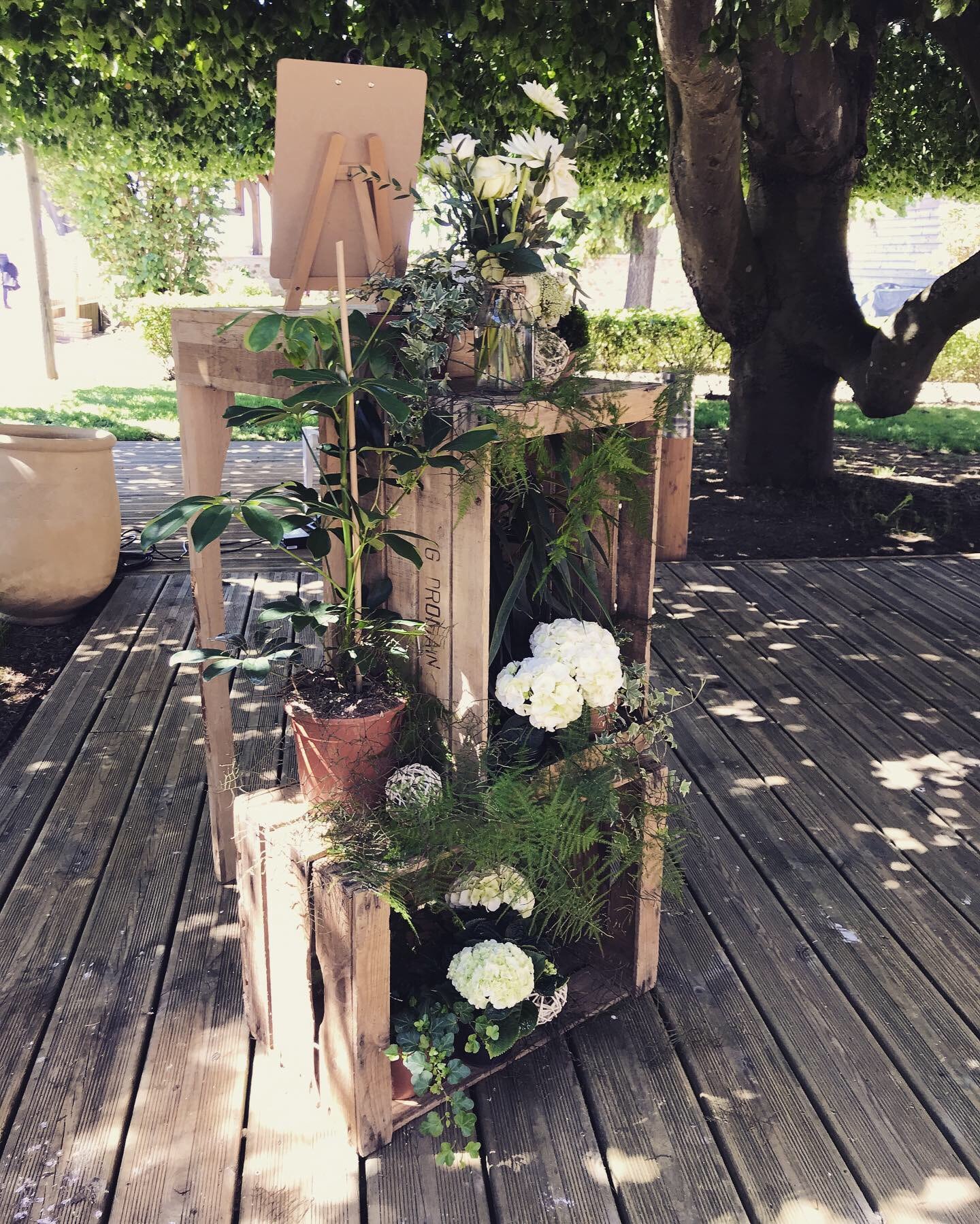 ozeo-decor-naturevegetal-13