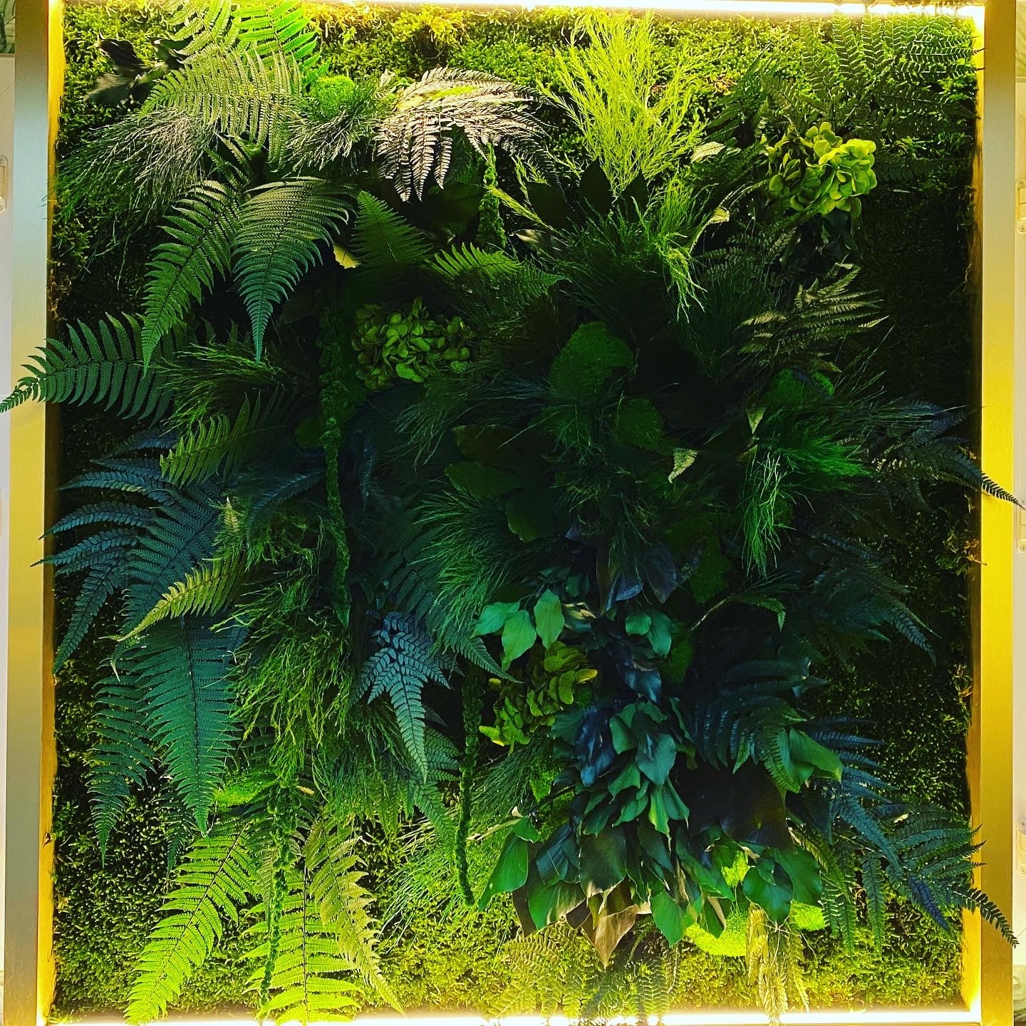 ozeo-decor-tableauvegetal-18