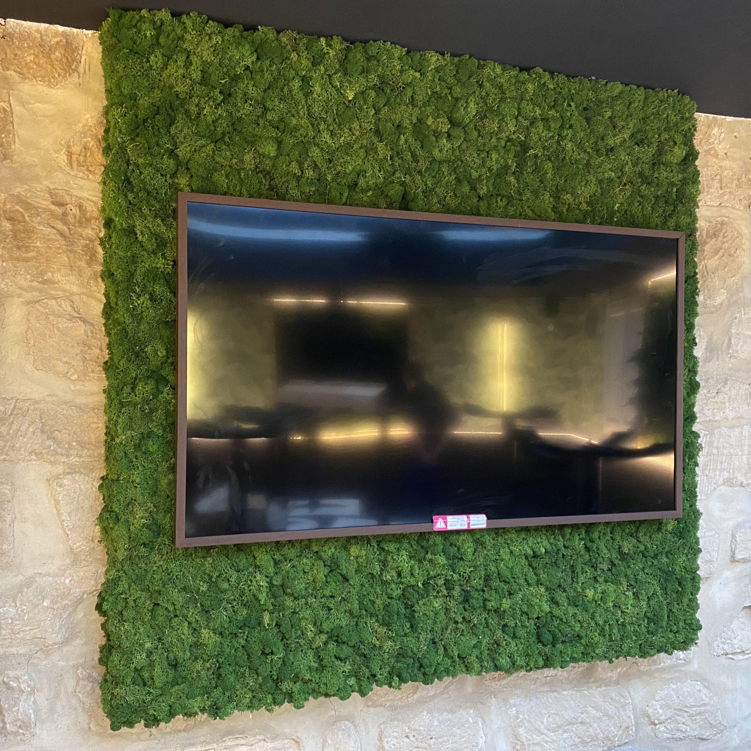 ozeo-decor-tableauvegetal-5