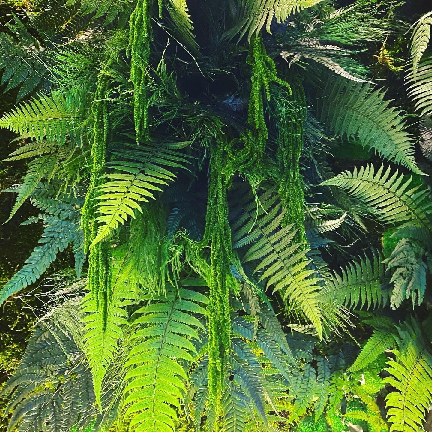 ozeo-decor-tableauvegetal-7
