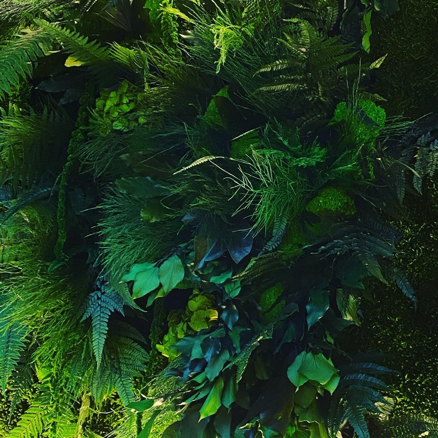 ozeo-decor-tableauvegetal-9